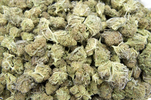 [BPFLCBSCHP] Cheetah Pizz Smalls (CBD)