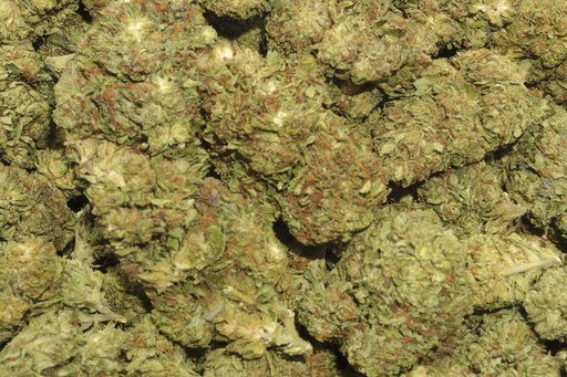 [BPFLCBLB59] Bubba 59 (CBD)