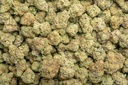 Durban Cookies Indoor