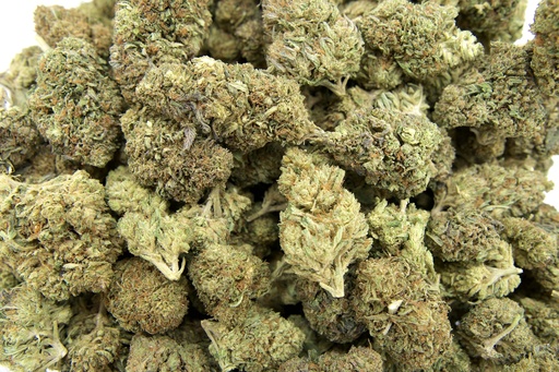 [BPFLCBLBLC] Blue Cheese (CBD)
