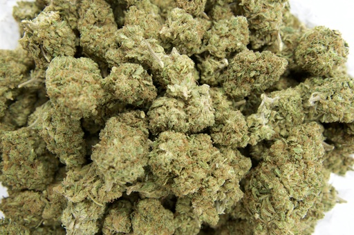 [BPFLCBLCHD] Chem Dawg (CBD)