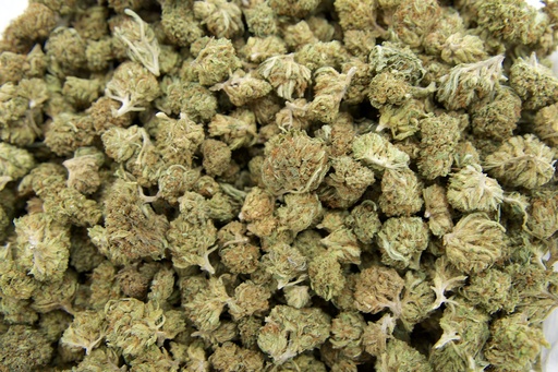 [BPFLCBMBLC] Blue Cheese Mediums (CBD)