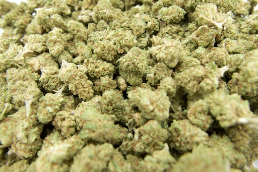 [BPFLCBMCHD] Chem Dawg Mediums (CBD)