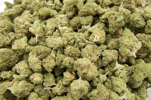 [BPFLCBSCHD] Chem Dawg Smalls (CBD)
