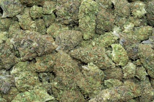 [BPFLCBLCBY] Cakeberry (CBD)