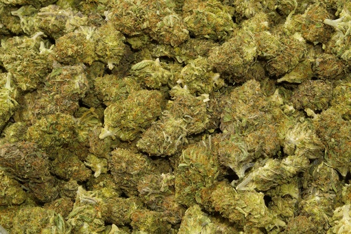 [BPFLCBLCBY] Cakeberry (CBD)