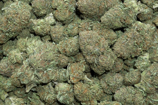 [BPFLCBLBUB] Bubba Kush (CBD) 