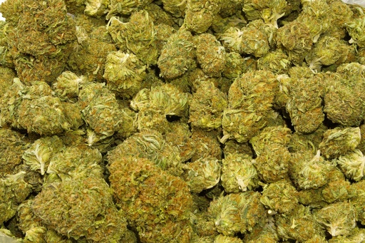 [BPFLCBLBUB] Bubba Kush (CBD) 