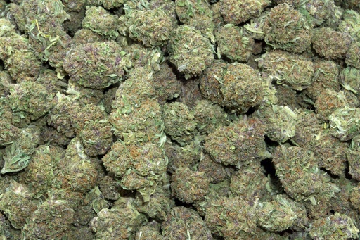 [BPFLCBLCKS] Cookies (CBD)