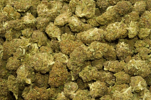[BPFLCBLCKS] Cookies (CBD)