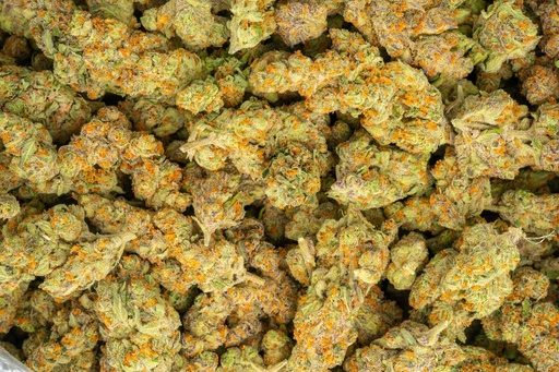 [BPFLTAITSA] The Sauce Indoor