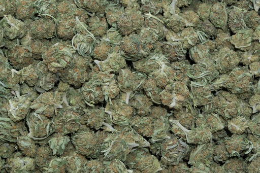 [BPFLCBSGDF] Godfather Smalls (CBD)