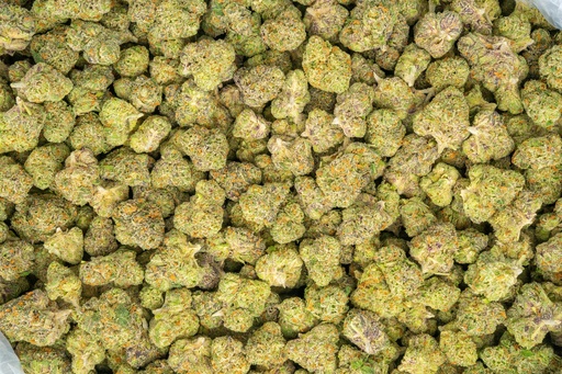 [BPFLTAMCDY] Candyland Indoor Mediums