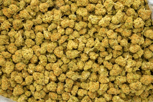 [BPFLTASSKB] Sour Kush Breath Smalls