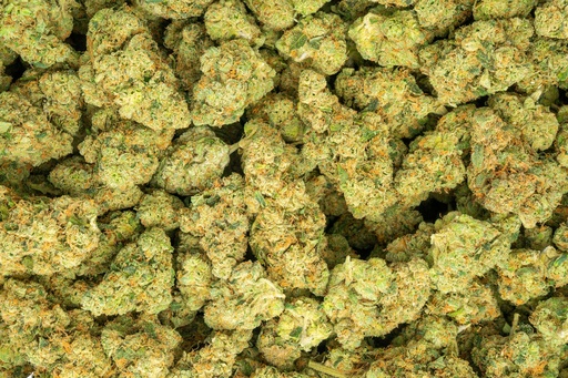[BPFLTAICAO] Cali-O Indoor