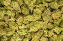 Gelato #33