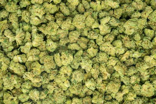 [BPFLTASBNC] Banana Nose Candy Smalls