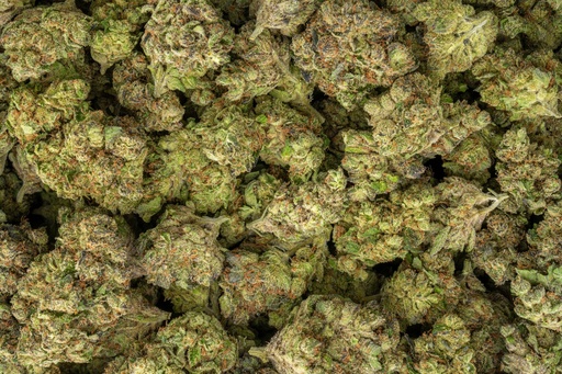 [BPFLTAIBCC] Black Cherry Cheesecake Indoor