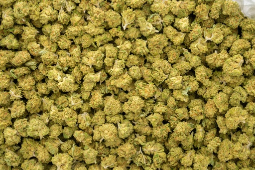 [BPFLTASAMS] Amaretto Sour Smalls