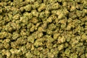 Apple Fritter Smalls