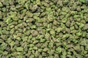 Greasy Runtz Indoor Smalls