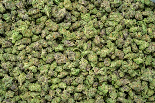 [BPFLTASGRZ] Greasy Runtz Indoor Smalls