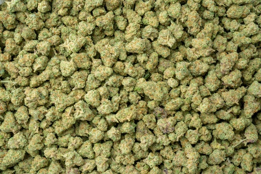 [BPFLTASSDD] Sundae Driver Indoor Smalls