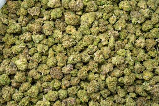 [BPFLTASBRZ] Black Runtz Indoor Smalls