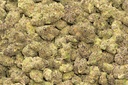 Gumbo Indoor
