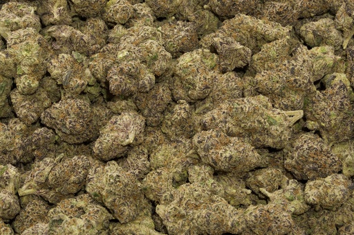 [BPFLTAIGDY] Grape Candy Indoor