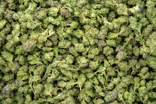 [BPFLTASPLC] Purple Champagne Smalls