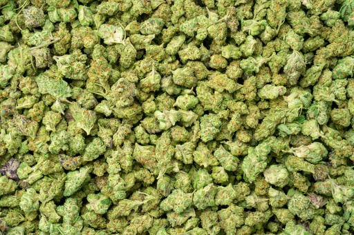 [BPFLTASBCN] Bananaconda Indoor Smalls