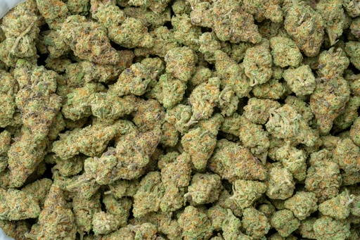 [BPFLTAISDD] Sundae Driver Indoor