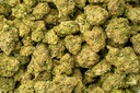 Sweet Island Skunk