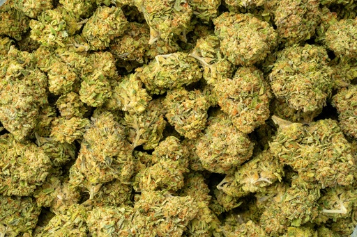 [BPFLTALSIS] Sweet Island Skunk