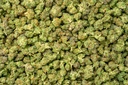 Candy Chrome Indoor Smalls