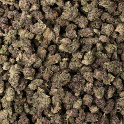 [BPFLTASMTD] Motorhead Indoor Smalls