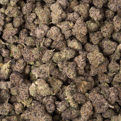 [BPFLTAMBBM] Blueberry Muffin Indoor Mediums