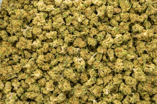 [BPFLTASSTZ] Skittlez Smalls
