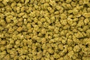 Hell's Angel OG Smalls