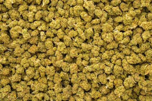 [BPFLTASHAO] Hell's Angel OG Smalls