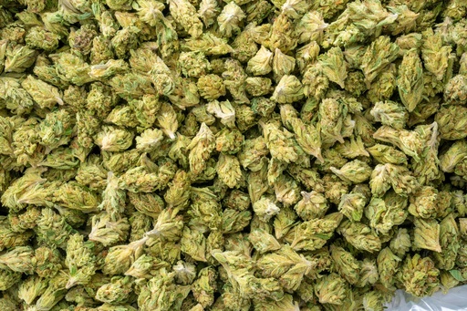 [BPFLTASRCD] Royal Chemdawg Smalls