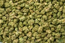 Vanilla Cookies Smalls