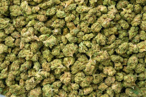 [BPFLTASVCS] Vanilla Cookies Smalls