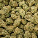 Jealousy Mintz Indoor