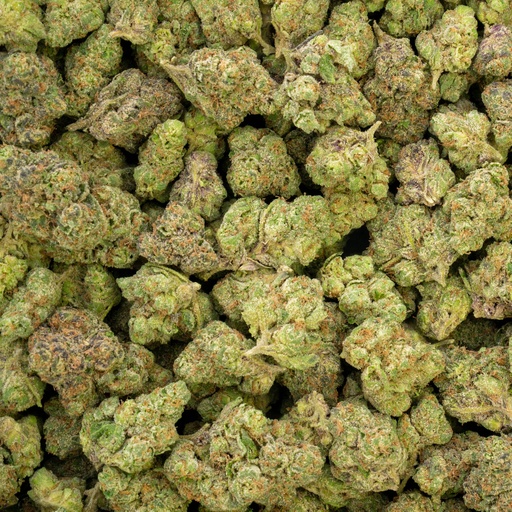 [BPFLTAITGS] Triangle Sherbet Indoor