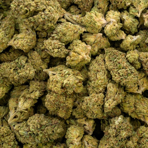 [BPFLTALGJO] Goji OG