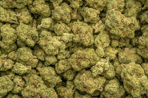 [BPFLTALTNK] Triangle Kush