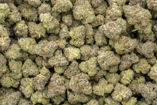 [BPFLTAIJGC] Jungle Cake Indoor