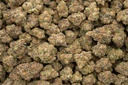 Pluto Indoor